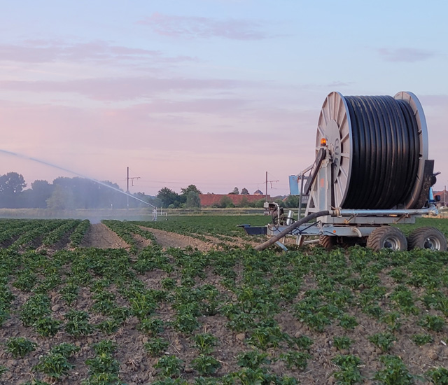 Irrigation (avec enrouleur)