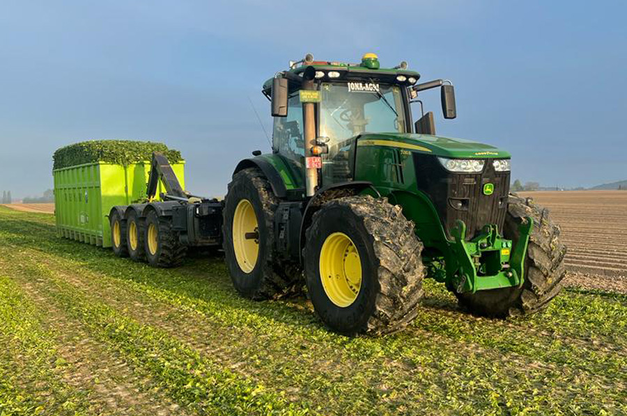 Epinards, pois, blé, pommes de terre, carottes, choux-fleurs