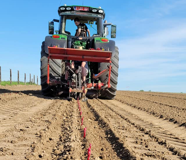 Plantation de vignes